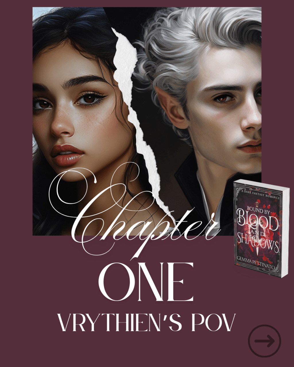 Bound By Blood & Shadows Chapter 1 — Vrythien’s POV