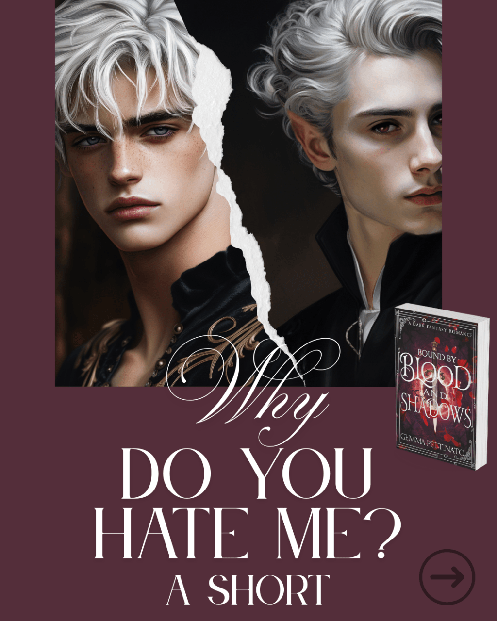 “Why Do You Hate Me?” A Vrythien & Trysten Short — By Gemma&nbsp;Pettinato